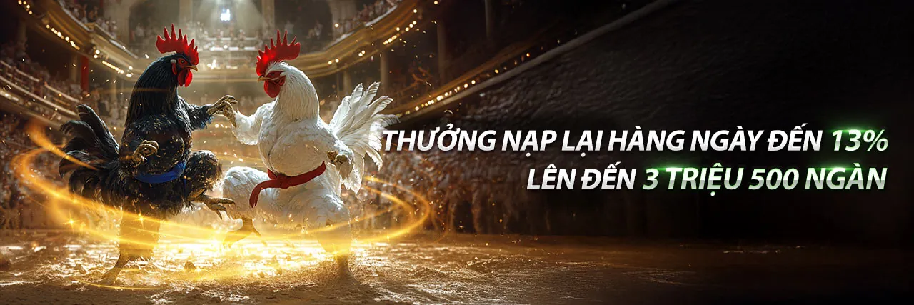 Hình ảnh giới thiệu về c168 code - Nền tảng cá cược trực tuyến uy tín